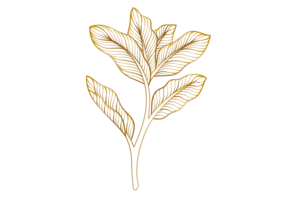 Golden Line Botany: Decorative Floral Vintage for Branding