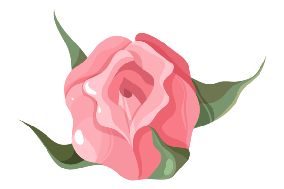 Pink Rose Decorative Element: A Floral Romantic Touch